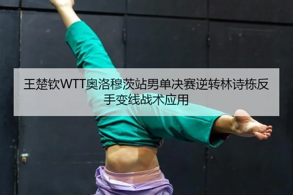 wang-chu-qin-ao-luo-mu-ci-zhan-nan-dan-jue-sai-ni-zhuan-lin-shi-dong-fan-shou-bian-xian-zhan-shu-ying-yong-3-761.jpg